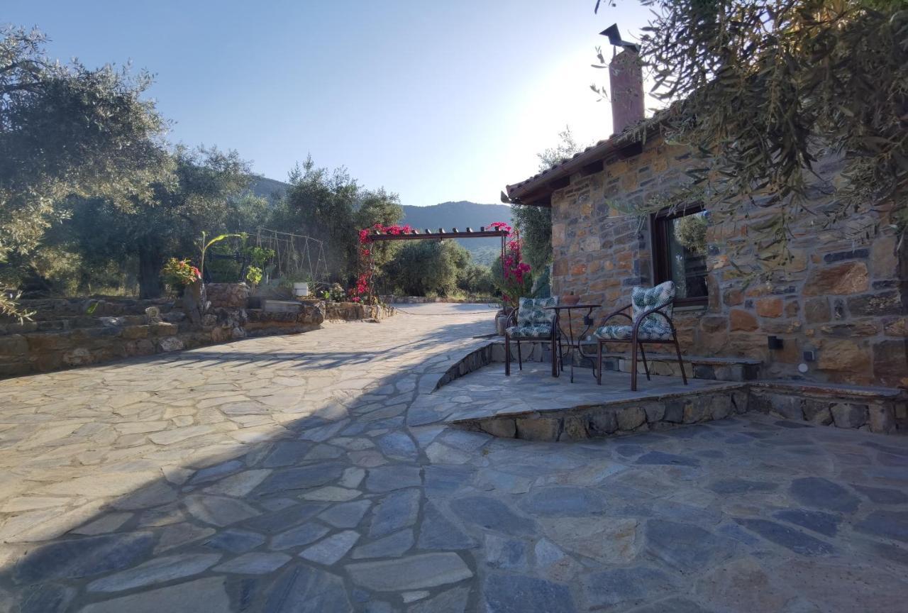 Elaion Thea2-Nies Sourpi Exterior foto